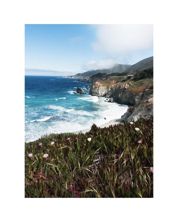 Flora Big Sur