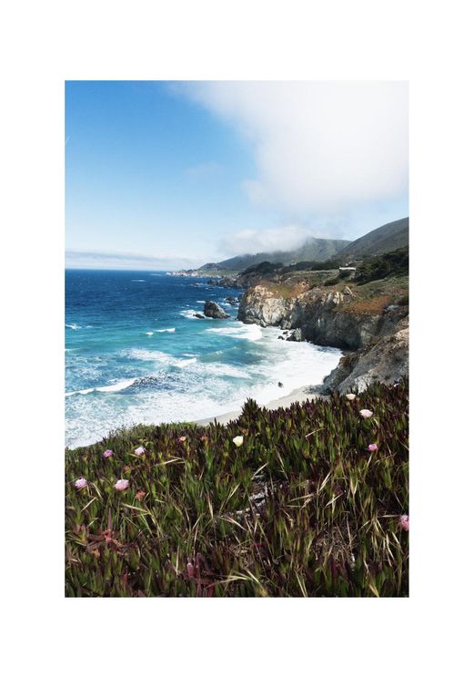 Flora Big Sur