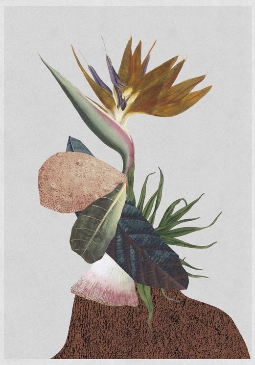 Flower Collage