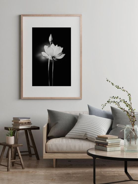 Flower Lit