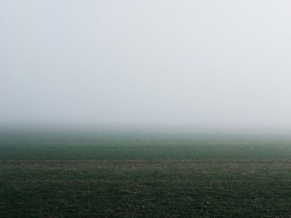 Foggy Field Gradient
