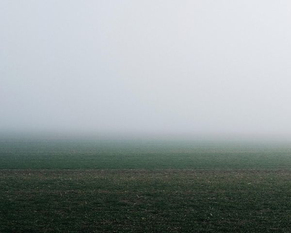Foggy Field Gradient