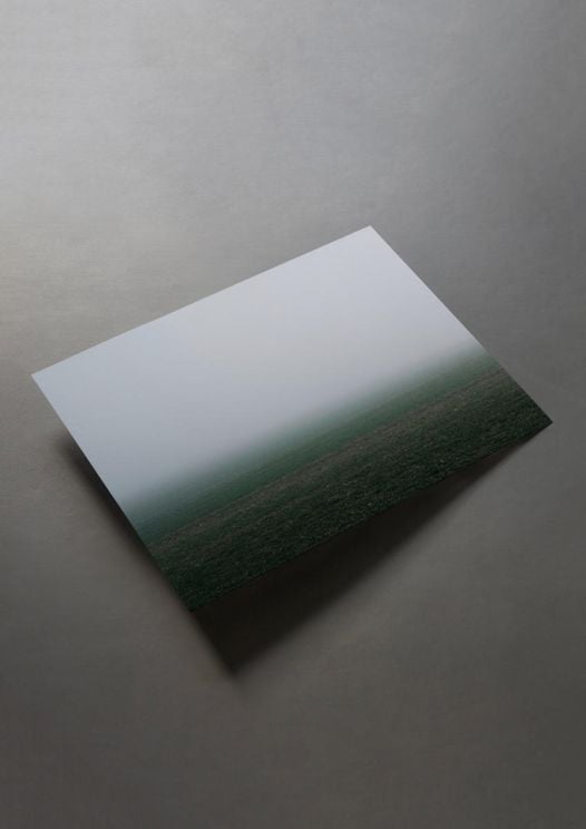 Foggy Field Gradient