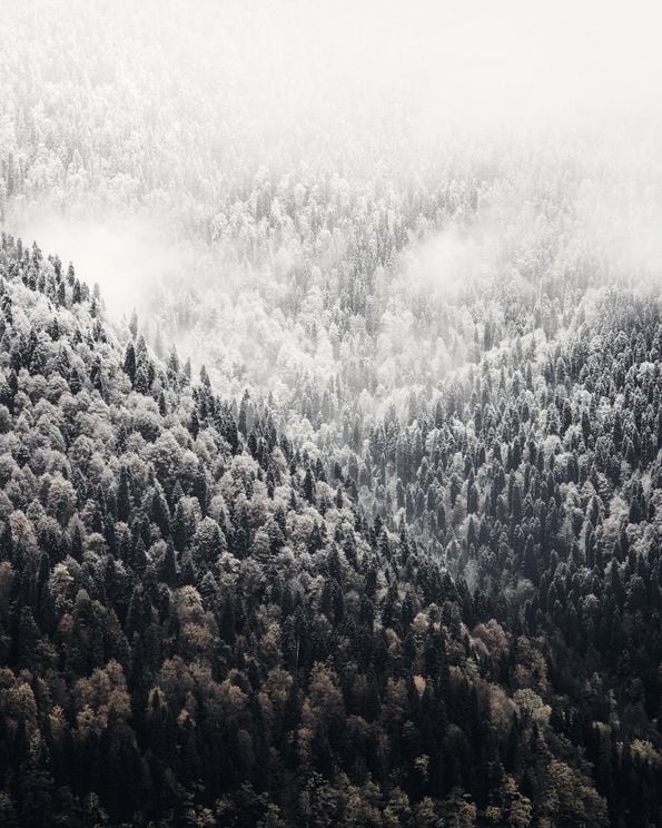 Foggy Mountains