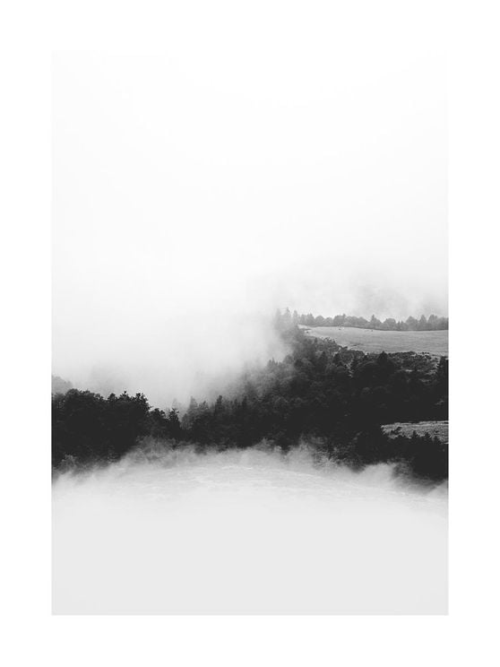 Foggy Valley