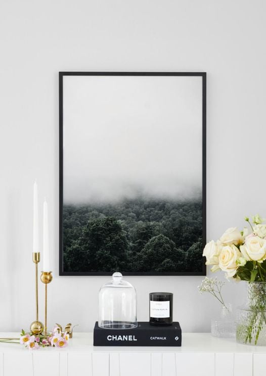 Forest Fog