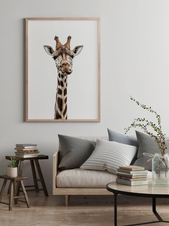 Online Portrait Giraffe Poster Purchase