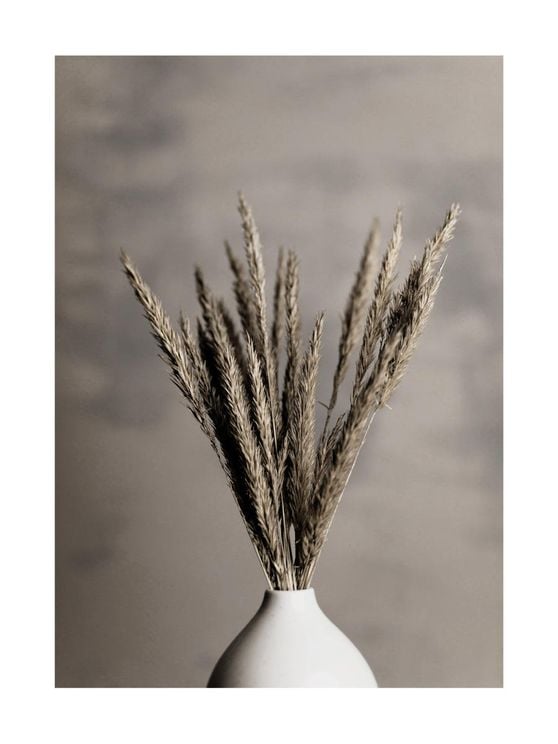Grass In Vase