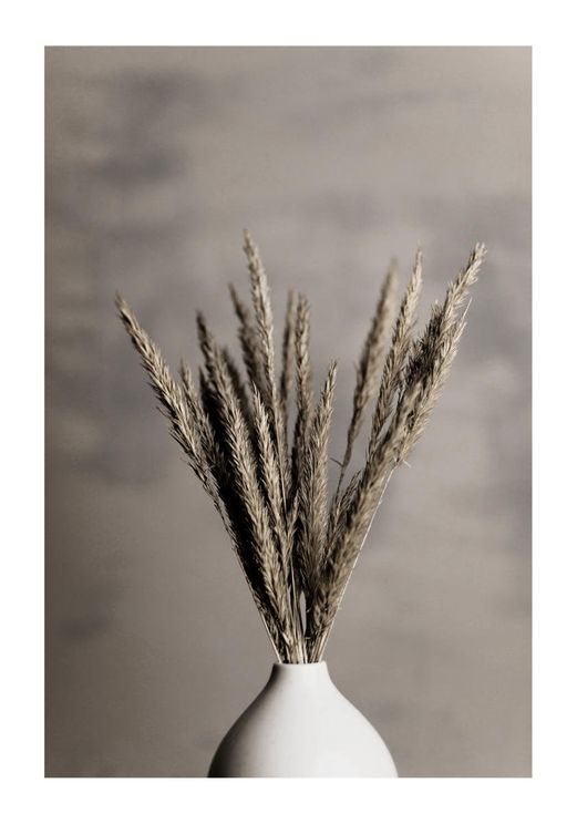 Grass In Vase