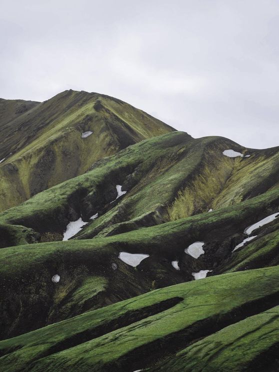Green Expanse 1