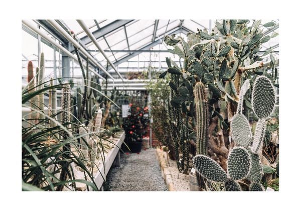 Greenhouse