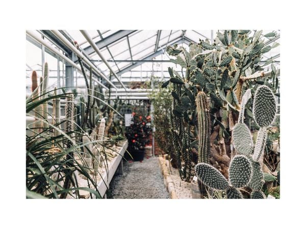 Greenhouse