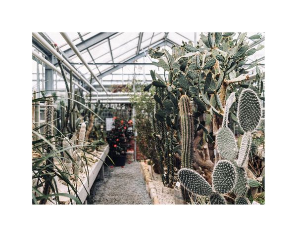 Greenhouse