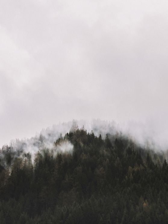 Hillside
