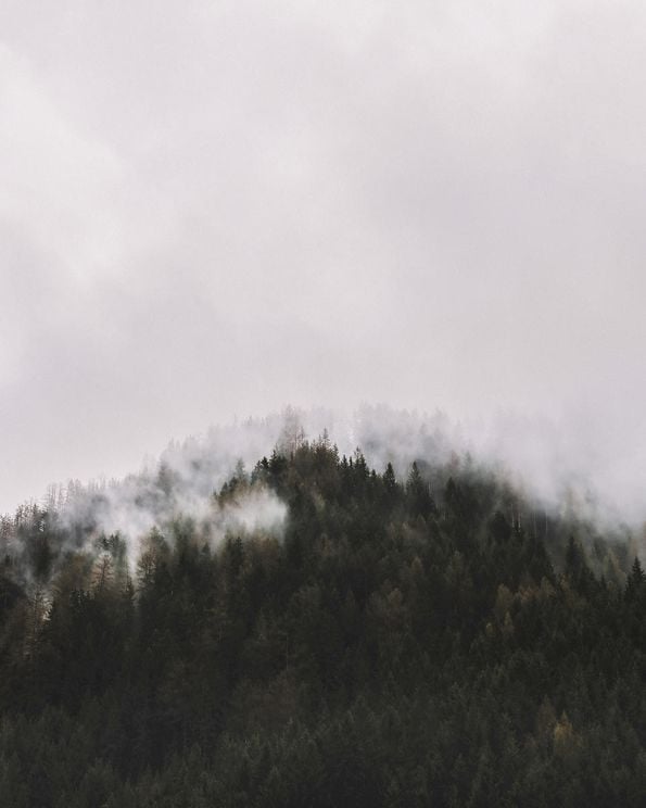 Hillside