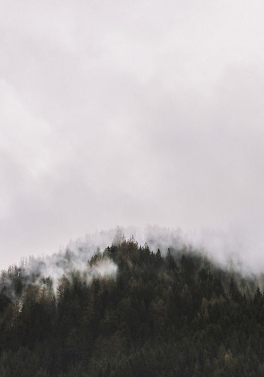 Hillside