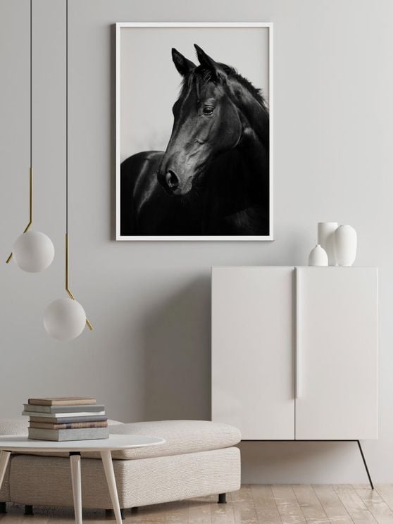 Horse Black And White