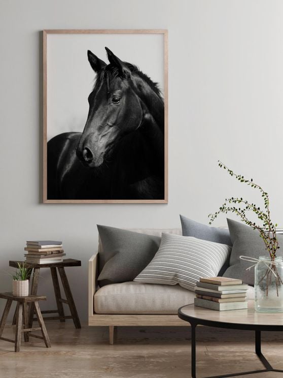 Horse Black And White