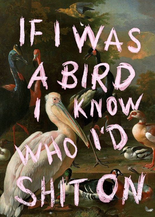 If I Was A Bird