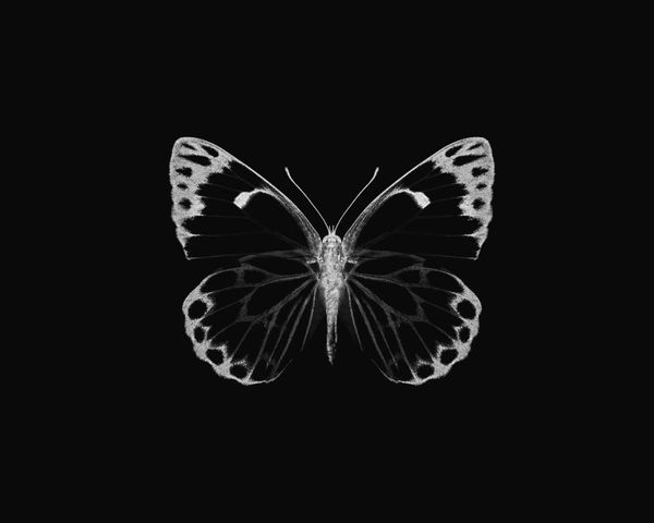 Inverted Butterfly