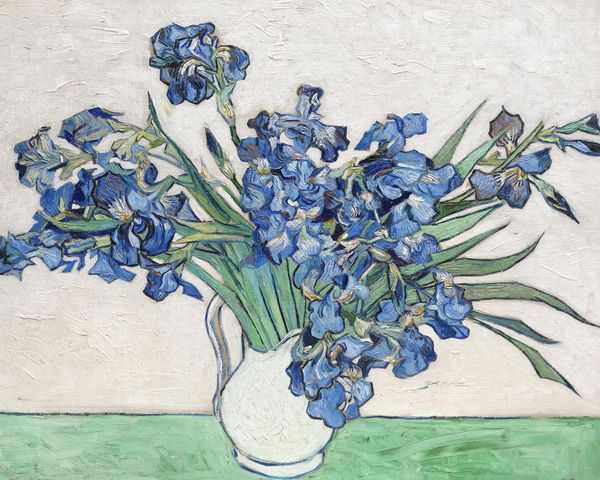 Irises 2 By Van Gogh