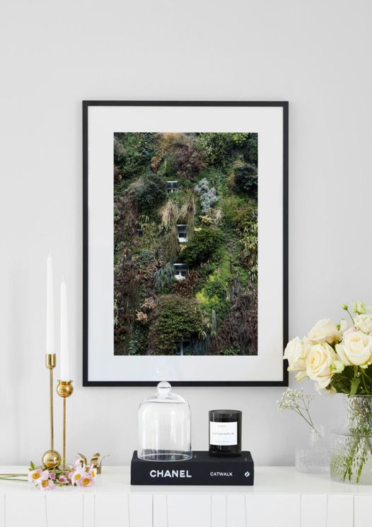 Jungle House
