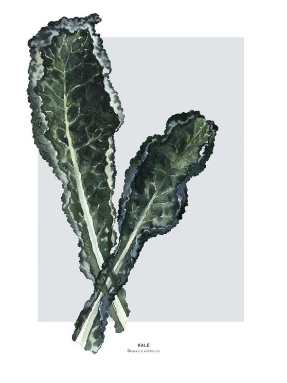 Kale
