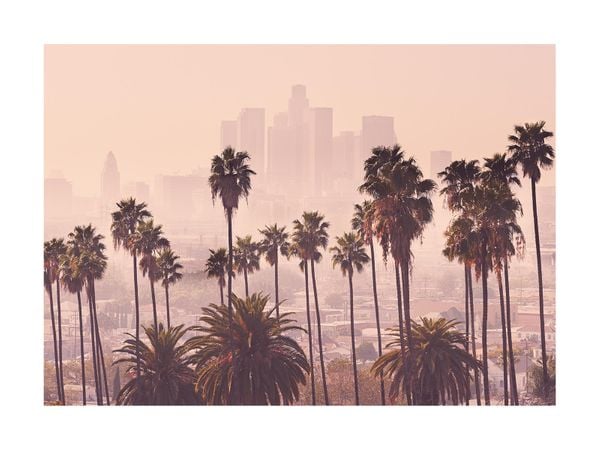 LA Skyline