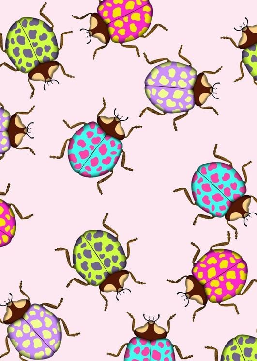 Ladybugs