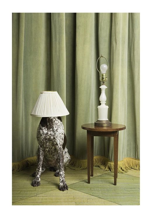 Lamp Doggo