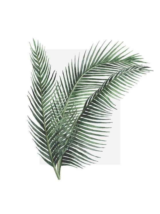 Leaves Out Of The Box