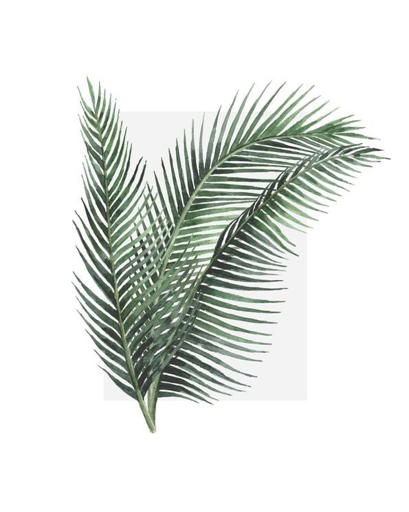 Leaves Out Of The Box
