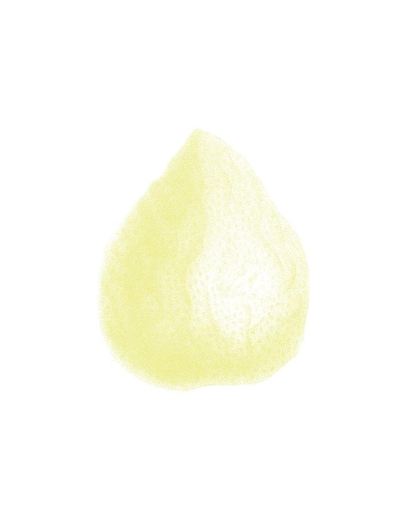 Lemon Dirty