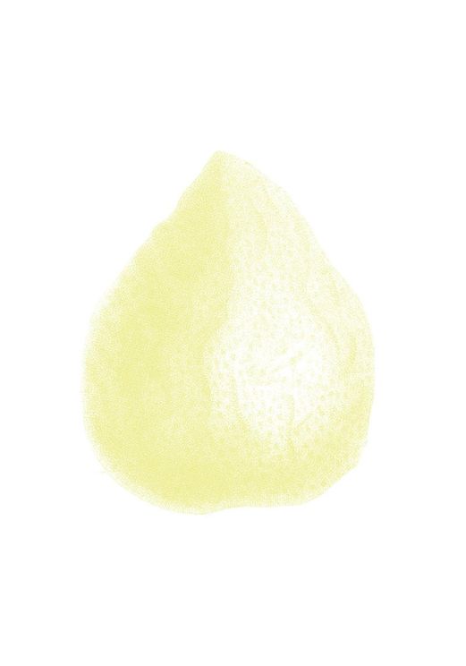 Lemon Dirty