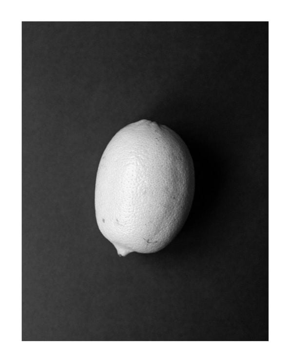 Lemon Study 2