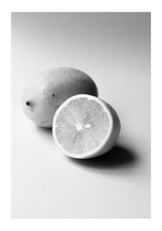 Lemon Study White 1