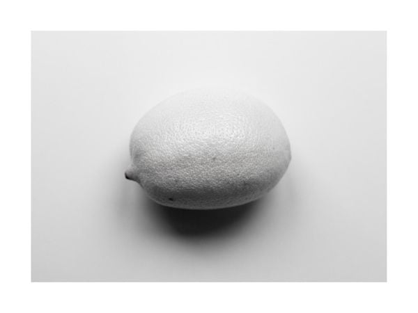 Lemon Study White 2