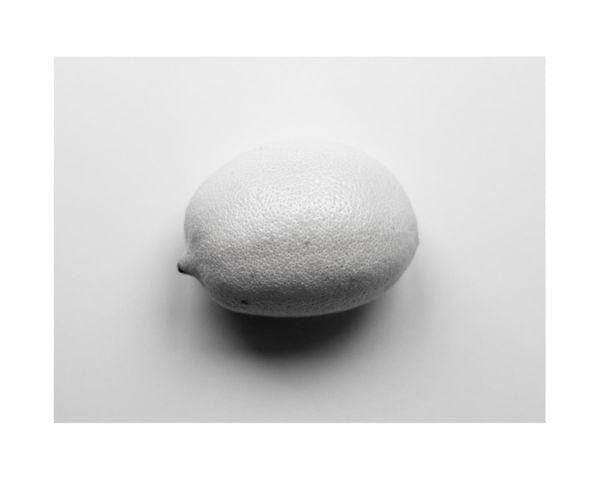 Lemon Study White 2