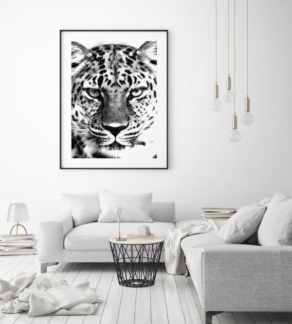 Leopard Black And White