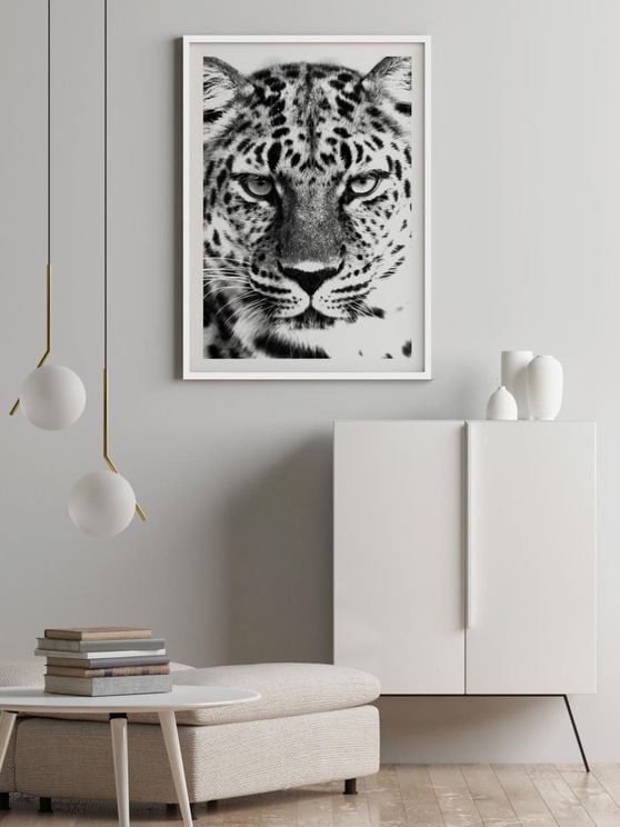 Leopard Black And White