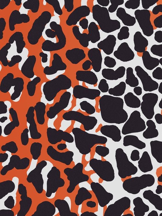 Leopard In Camo In Red