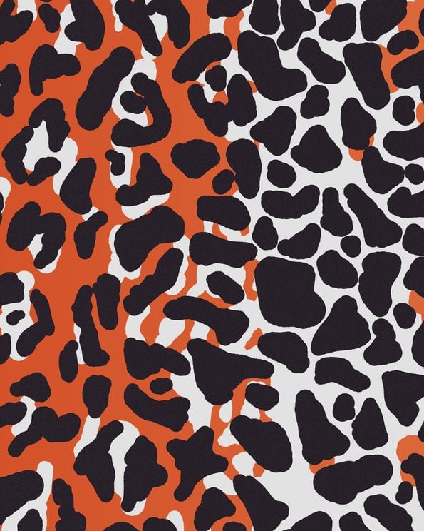Leopard In Camo In Red