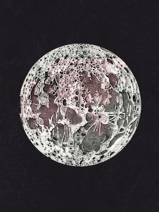 Light Side Of The Moon