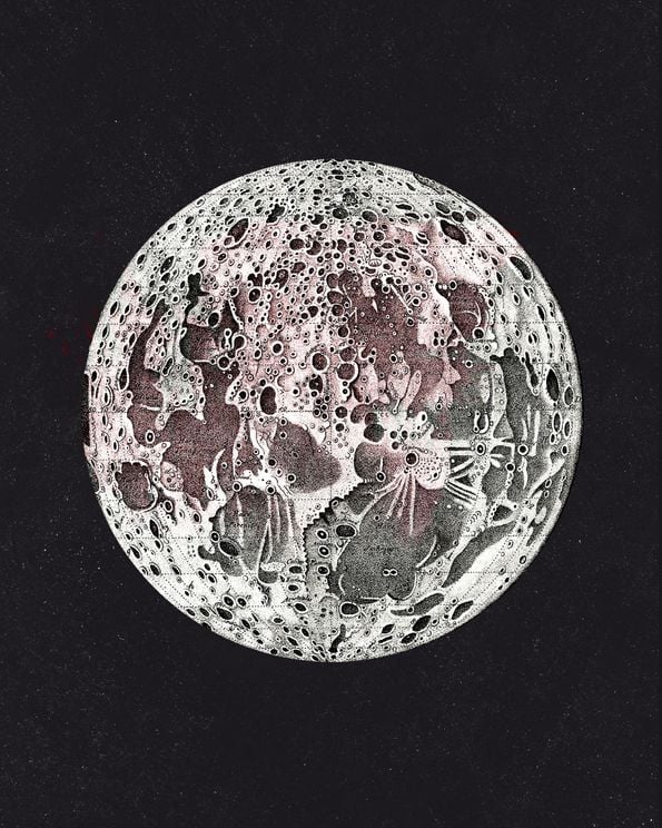 Light Side Of The Moon