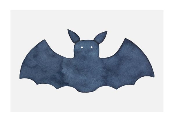 Lil Bat