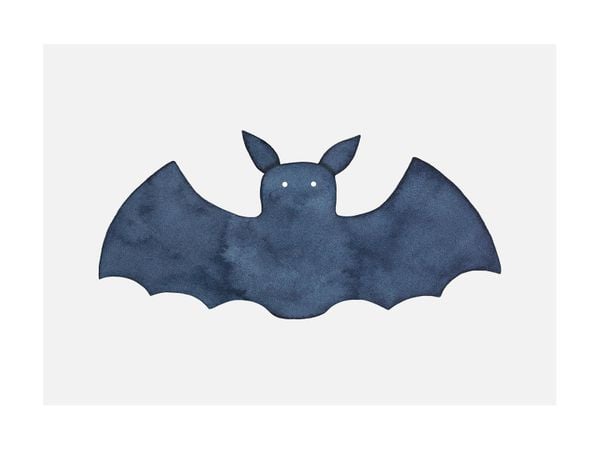 Lil Bat