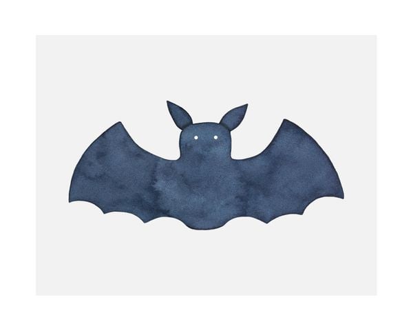 Lil Bat