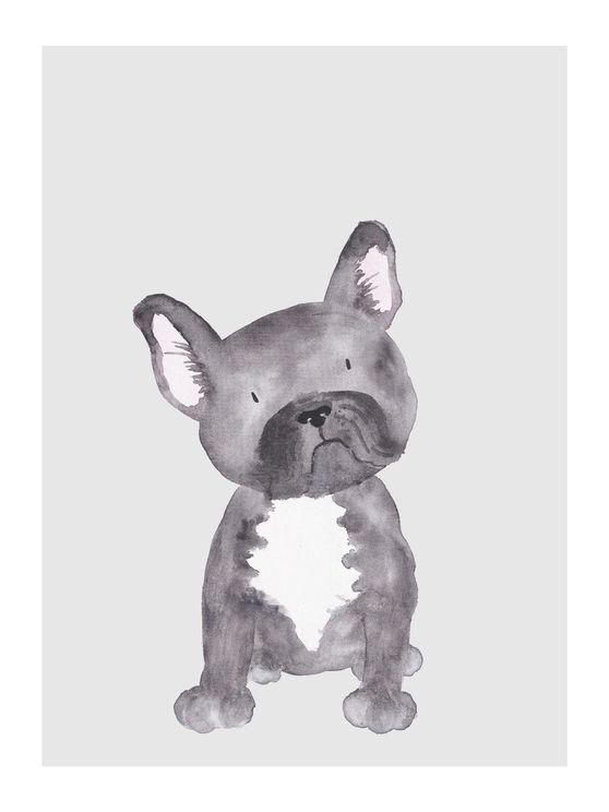Lil Dog