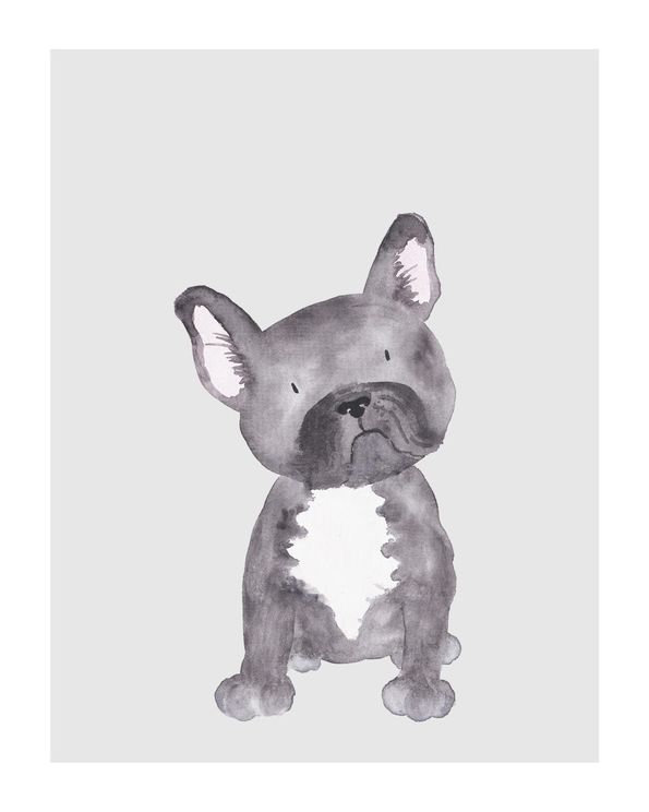 Lil Dog