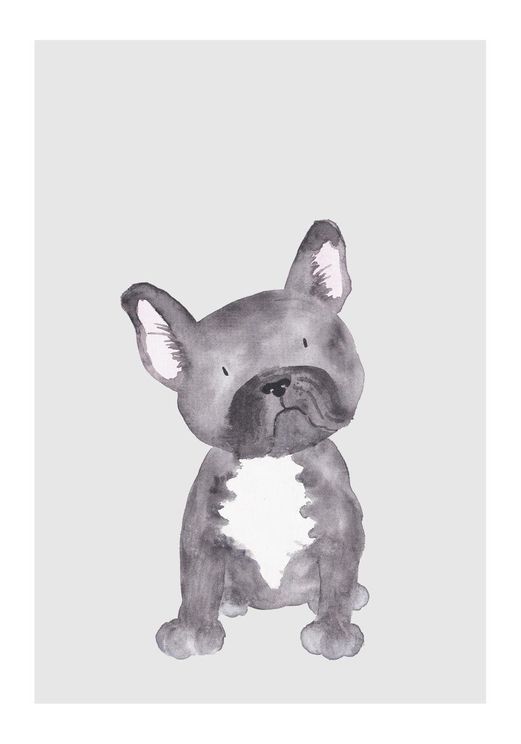 Lil Dog
